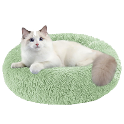 Kedi Ürünleri